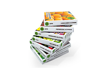 Goy Werbemittel-Agentur - Haushalt - „Pflanz mich“-Starterset