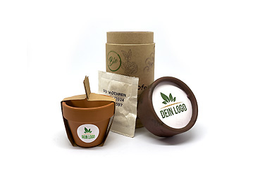 Goy Werbemittel-Agentur - Haushalt - „Pflanz mich“-Starterset