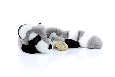 Goy Werbemittel-Agentur - Sport und Spiel - Hundespielzeug RecycelWaschbär