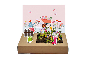 Goy Werbemittel-Agentur - Streuartikel - Mini-Garten Blütenpracht