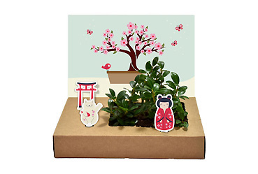 Goy Werbemittel-Agentur - Streuartikel - Mini-Garten Bonsai