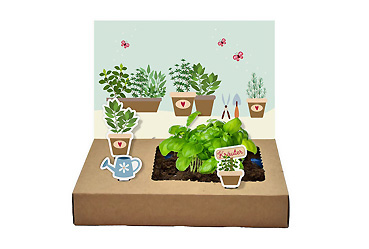 Goy Werbemittel-Agentur - Streuartikel - Mini-Garten Küchenkräuter
