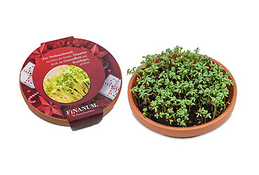 Goy Werbemittel-Agentur - Streuartikel - Vitamin-Schale