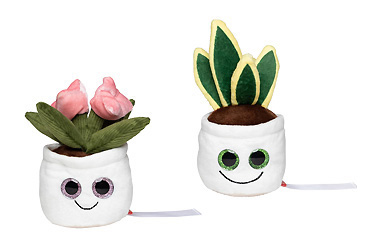 Goy Werbemittel-Agentur - Textilien und Taschen - Schmoozies® Evergreenies