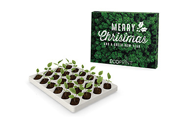 Goy Werbemittel-Agentur - Weihnachtsartikel - Wachsender Adventskalender