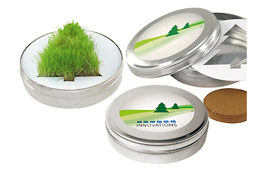 Goy Werbemittel-Agentur - weihnachten - Wachsender Tannenbaum