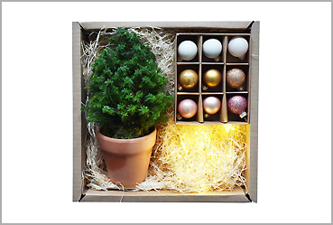 Goy Werbemittel-Agentur - Weihnachtsartikel - Miniweihnachtsbaum Geschenkbox