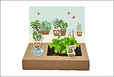 Goy Werbemittel-Agentur - Streuartikel - Mini-Garten Küchenkräuter
